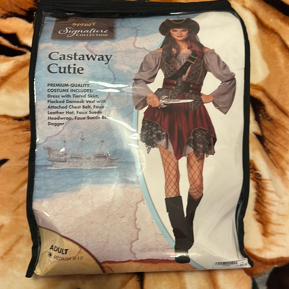 Women’s adult pirate costume
